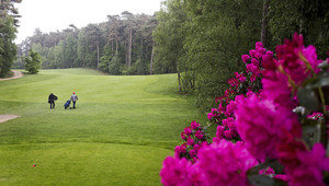 Golfplatz De Herkenbosche